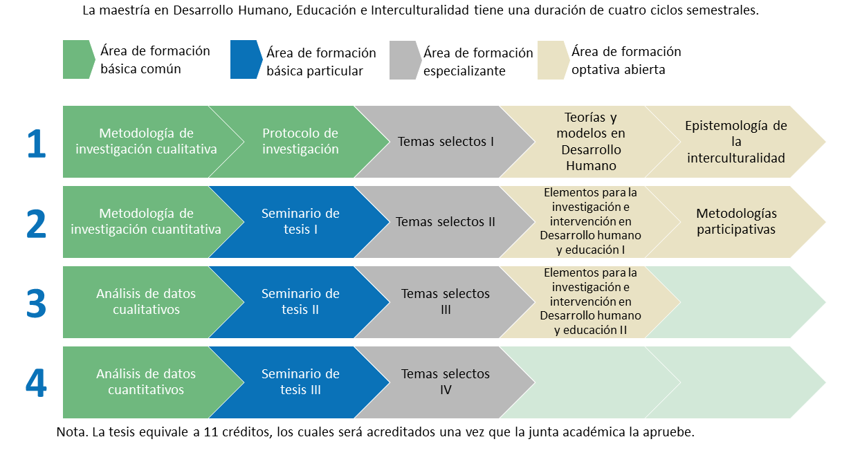 Malla Curricular Centro Universitario Del Sur